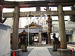 ���}�_�Г��{���ێ�