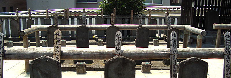 ��x���@�ԕ�Q�m