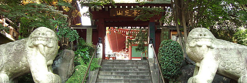 �P�{����