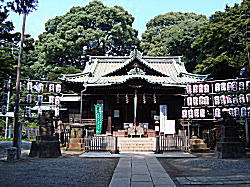 ��X�ؔ����{