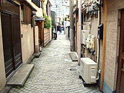 �������ډ���