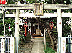 �����דc�{�_�Ёi�����ׁj