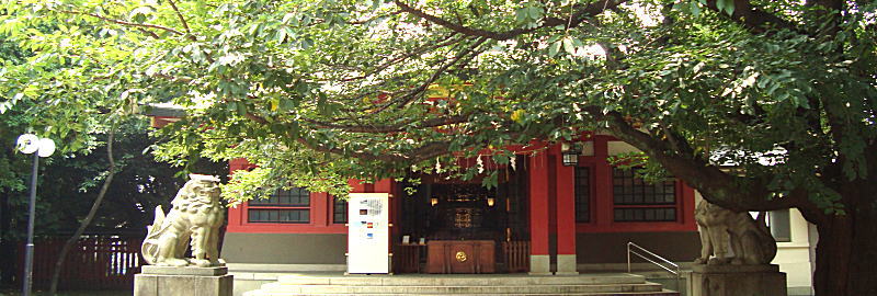 ���������_��