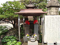 �u�C�_���v�u�n���ɂȂ��������v