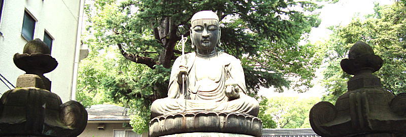 �i�쎛�@�]�˘Z�n���̑���