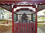 �����T�t����