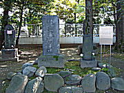 ���`���R���D���R�[�Ȑ�