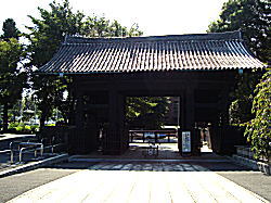 �����i���{�V�\��